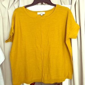 Ann Taylor Loft top size large